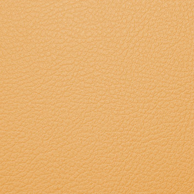 220 light saffron orange