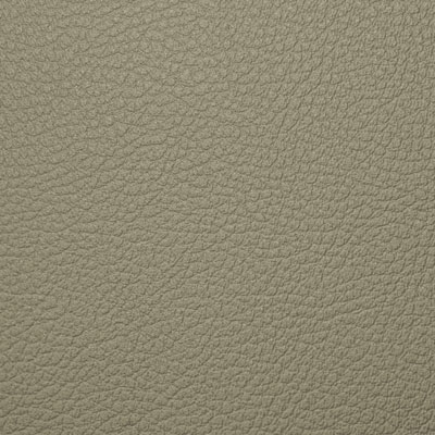226 beige grey